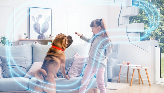 Inklusivausstattung-Lueftung